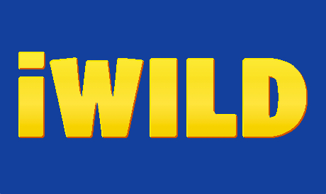 iWild Casino